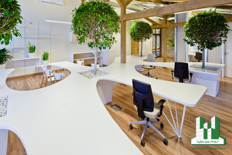 Phong cách Eco mang đến không gian xanh cho văn phòng làm việc